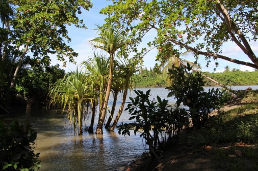 Backwaters at one of the Islands